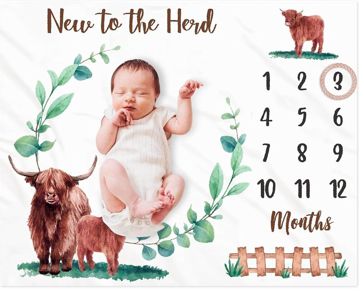 Highland Cows Baby Monthly Milestone Blanket Scotland Photo Prop Month Blanket Growth Chart Gift Ideas for Newborn Boy Girl Nursery Décor Baby Shower 40" X 50"