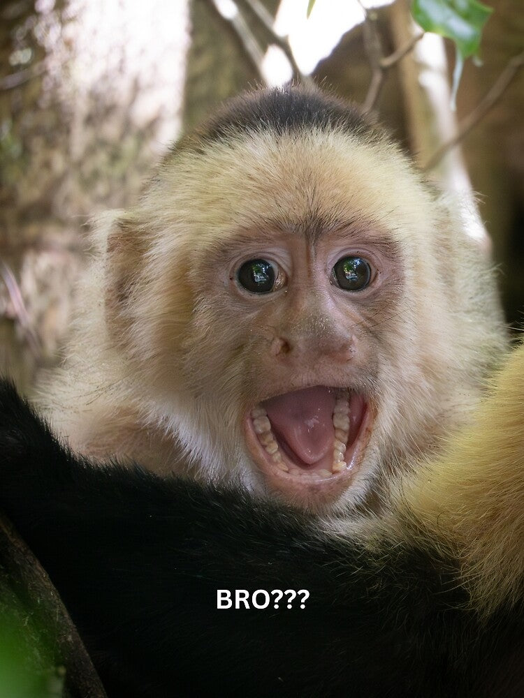 Bro Monkey Meme Funny Reaction Meme Shocked Monkey Viral Meme by WildFrameNature