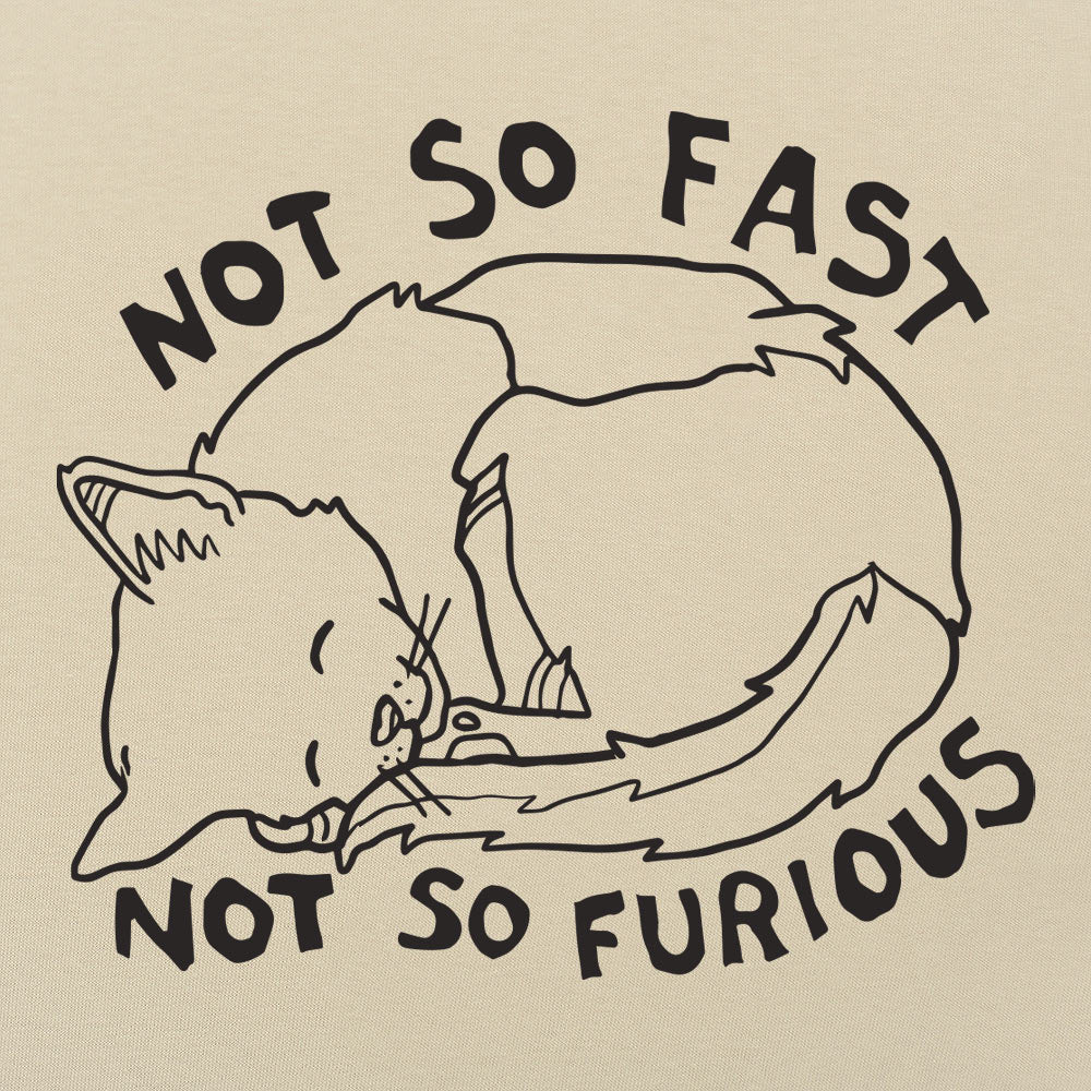 Not So Fast & Furious