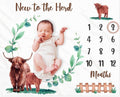 Highland Cows Baby Monthly Milestone Blanket Scotland Photo Prop Month Blanket Growth Chart Gift Ideas for Newborn Boy Girl Nursery Décor Baby Shower 40" X 50"