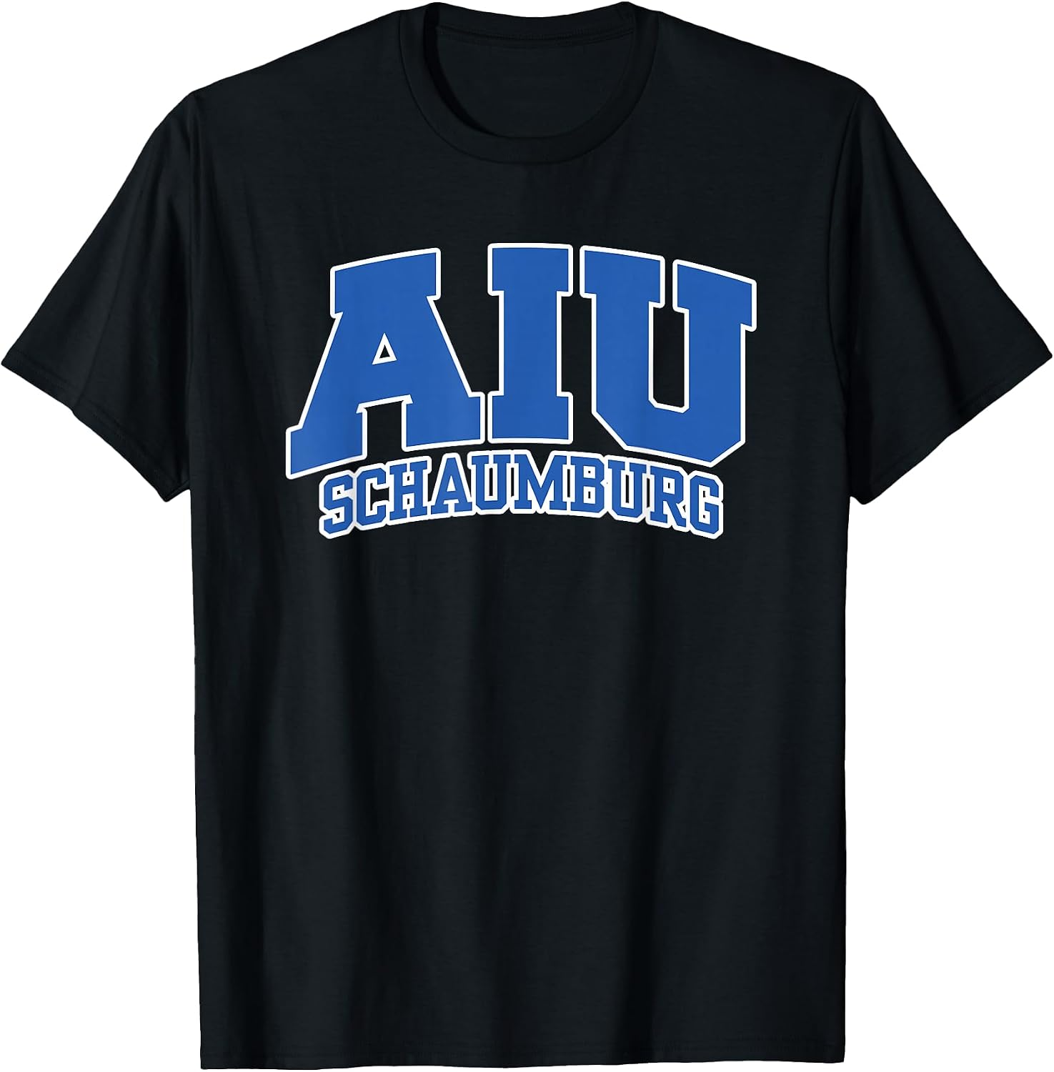 AIU Schaumburg Athletic Sports Fan
