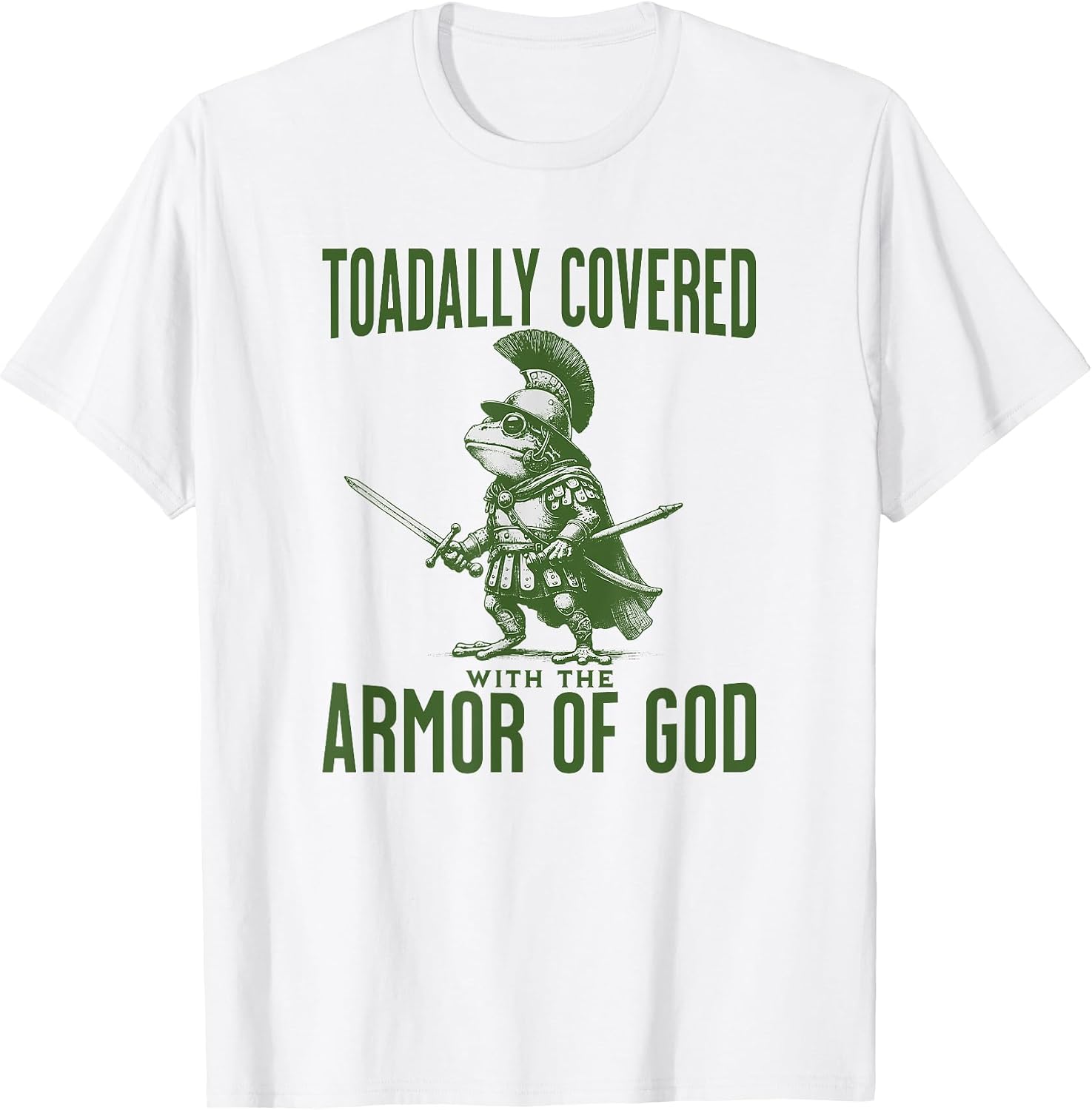 Funny Christian Meme Frog God Armor Bible Verse
