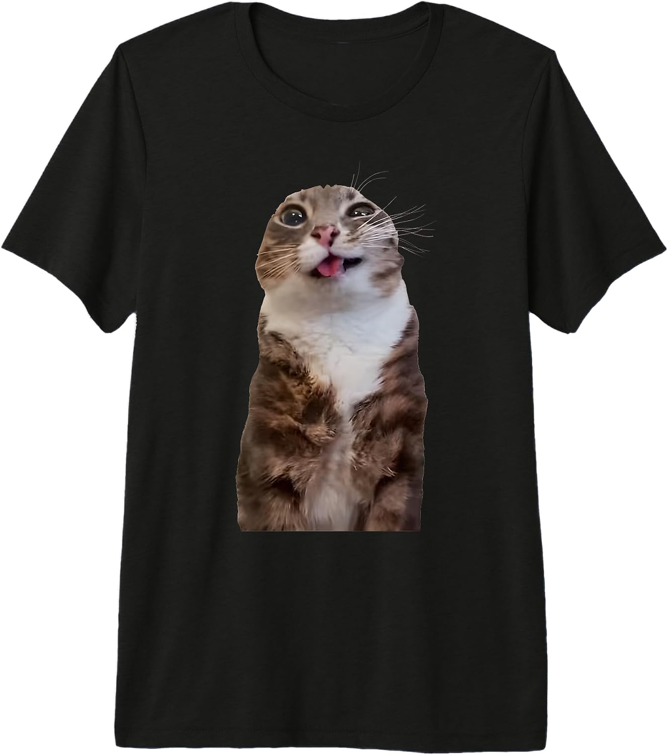 Rigby Cat Merch