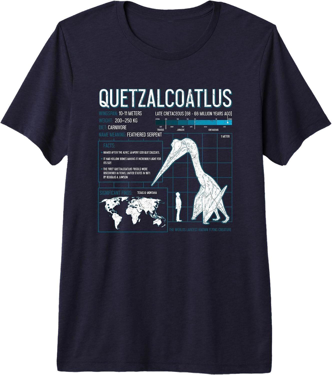 Dinosaur Fact T Shirts