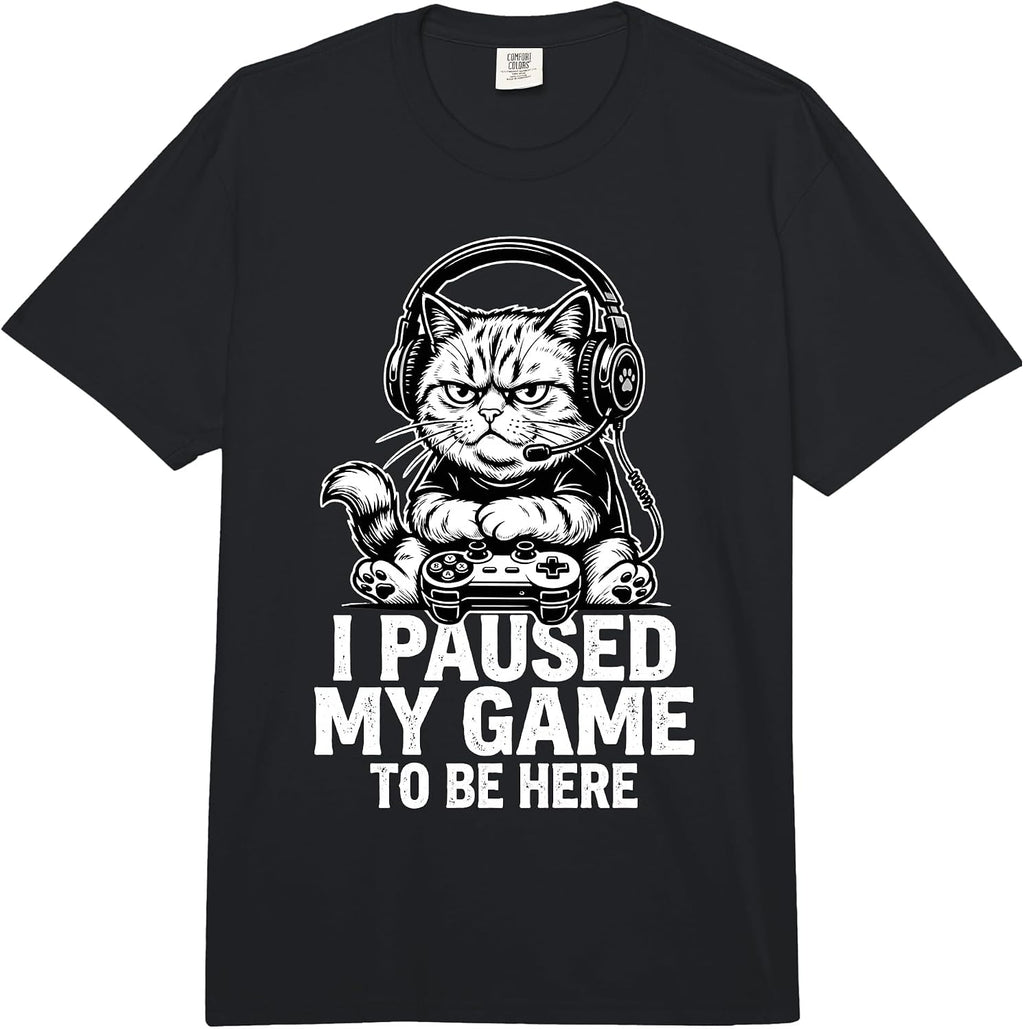 I Paused My Game Cat Collection