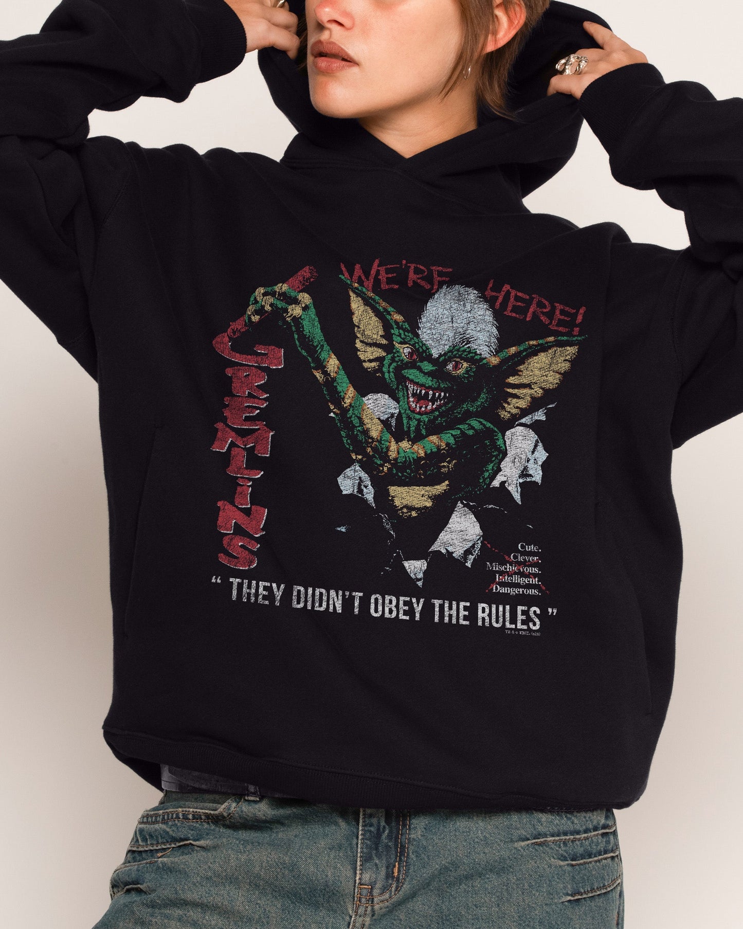 We’re Here Hoodie