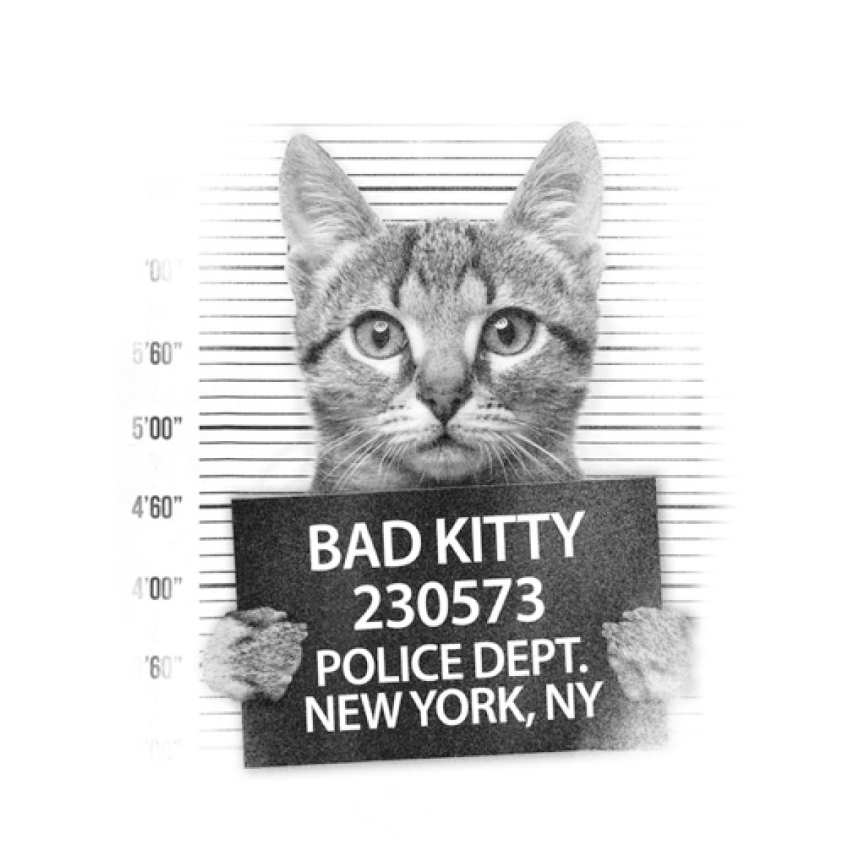 Funny Cute Bad Kitty Cat Long Sleeve