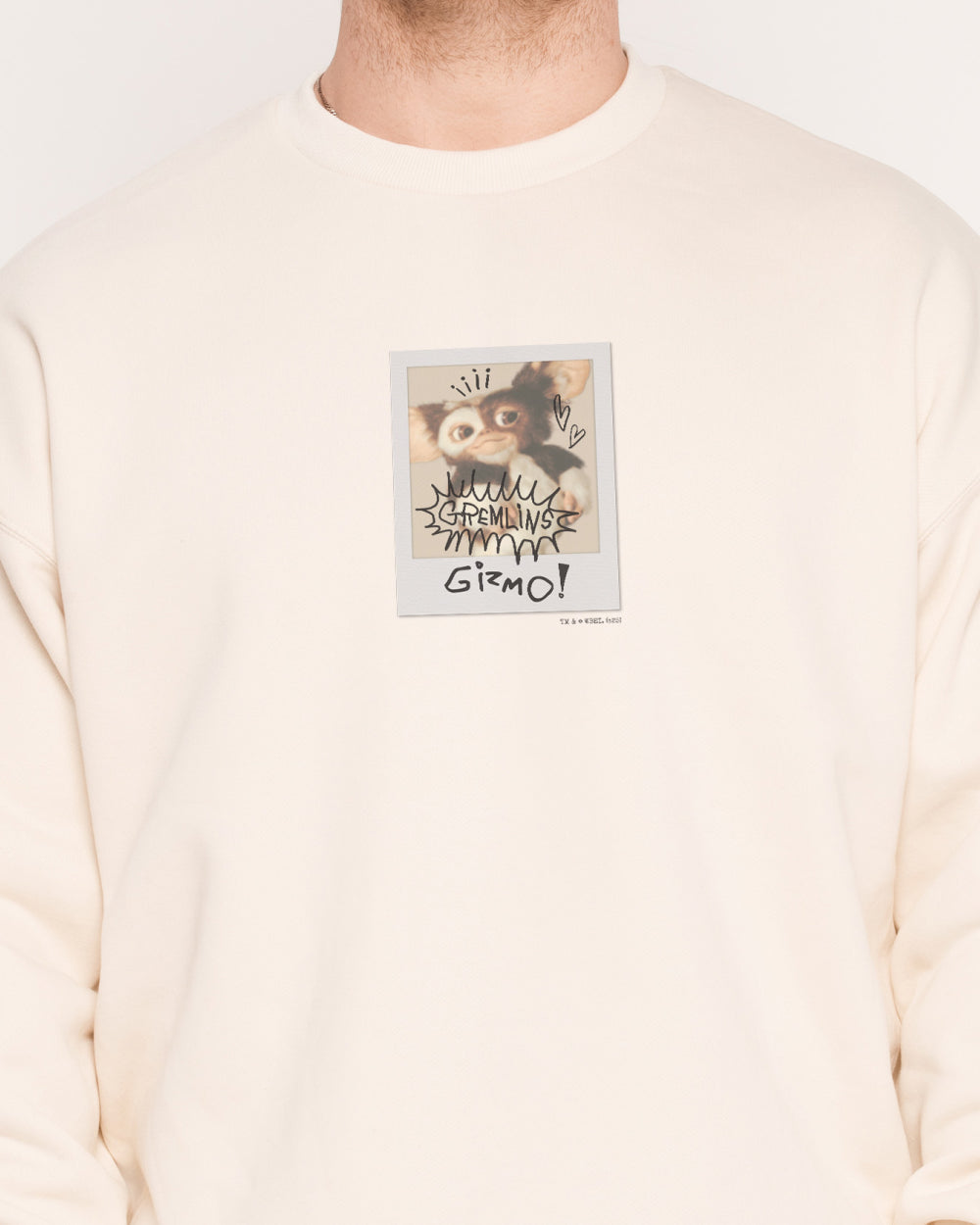 Gizmo Polaroid Sweatshirt