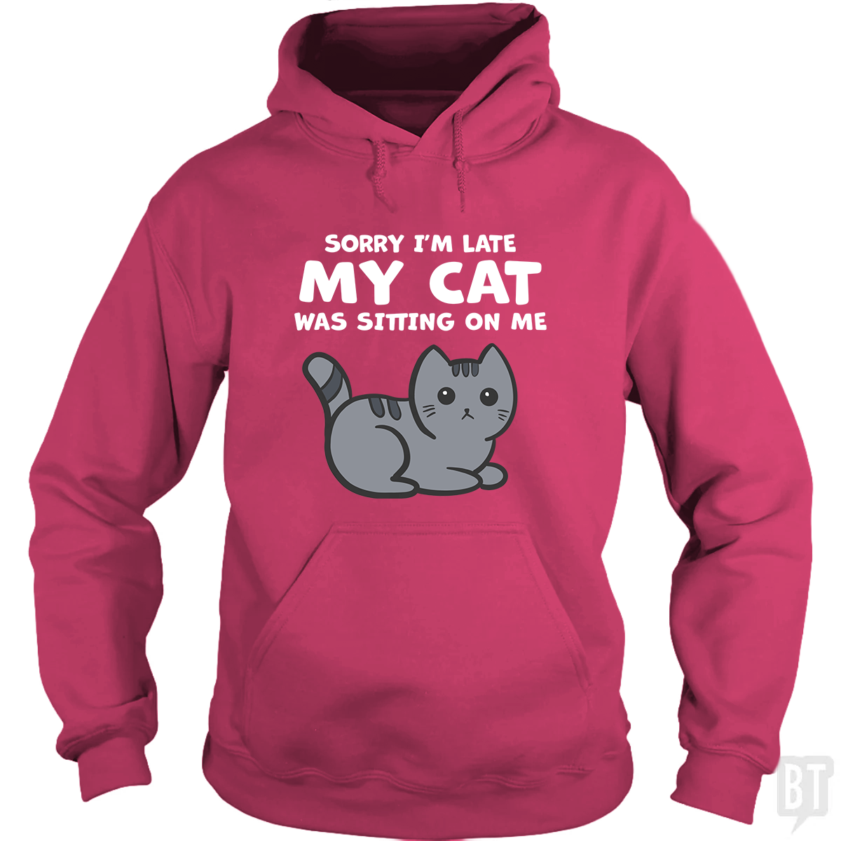 Sorry I'm Late My Cat Was Sitting On Me Hoodie