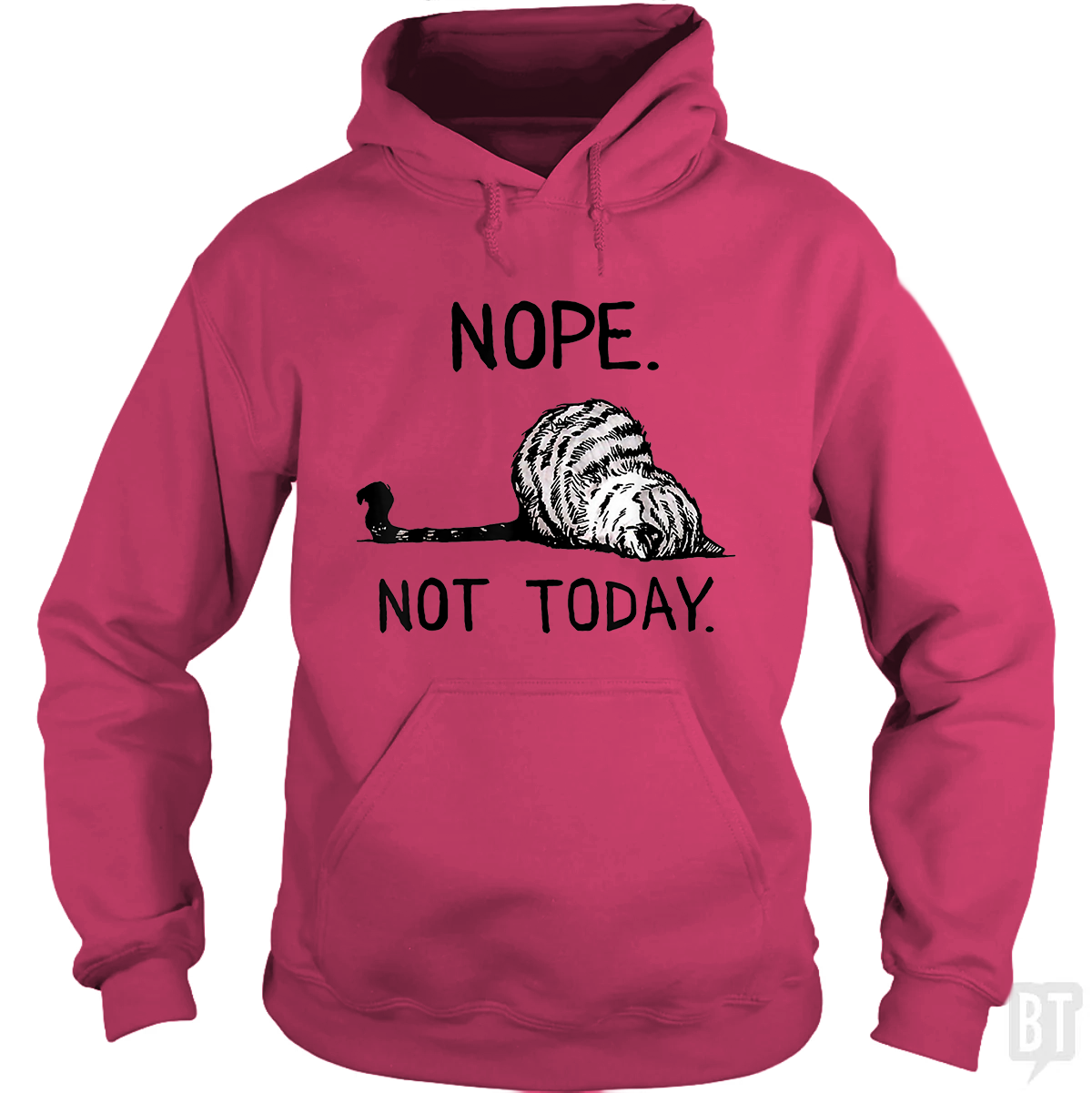 Nope Not Today Cat Hoodie