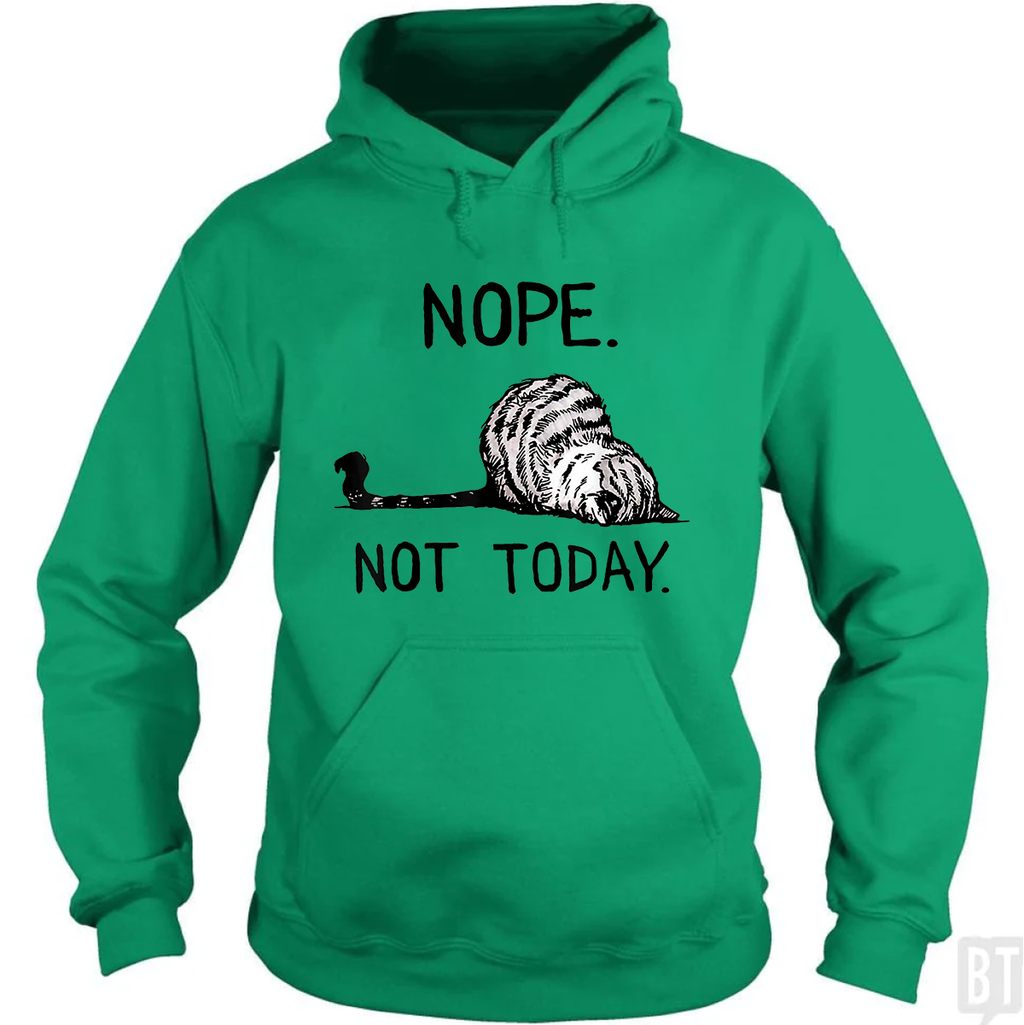 Nope Not Today Cat Hoodie