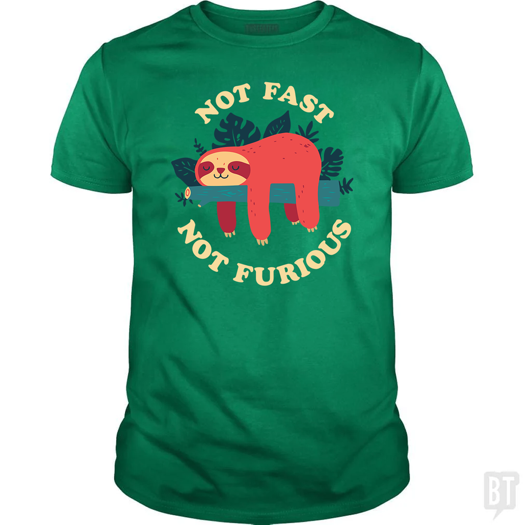 Funny Sloth Not Fast Not Furious