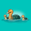 Turtle Ducks