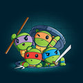 Turtle Time!