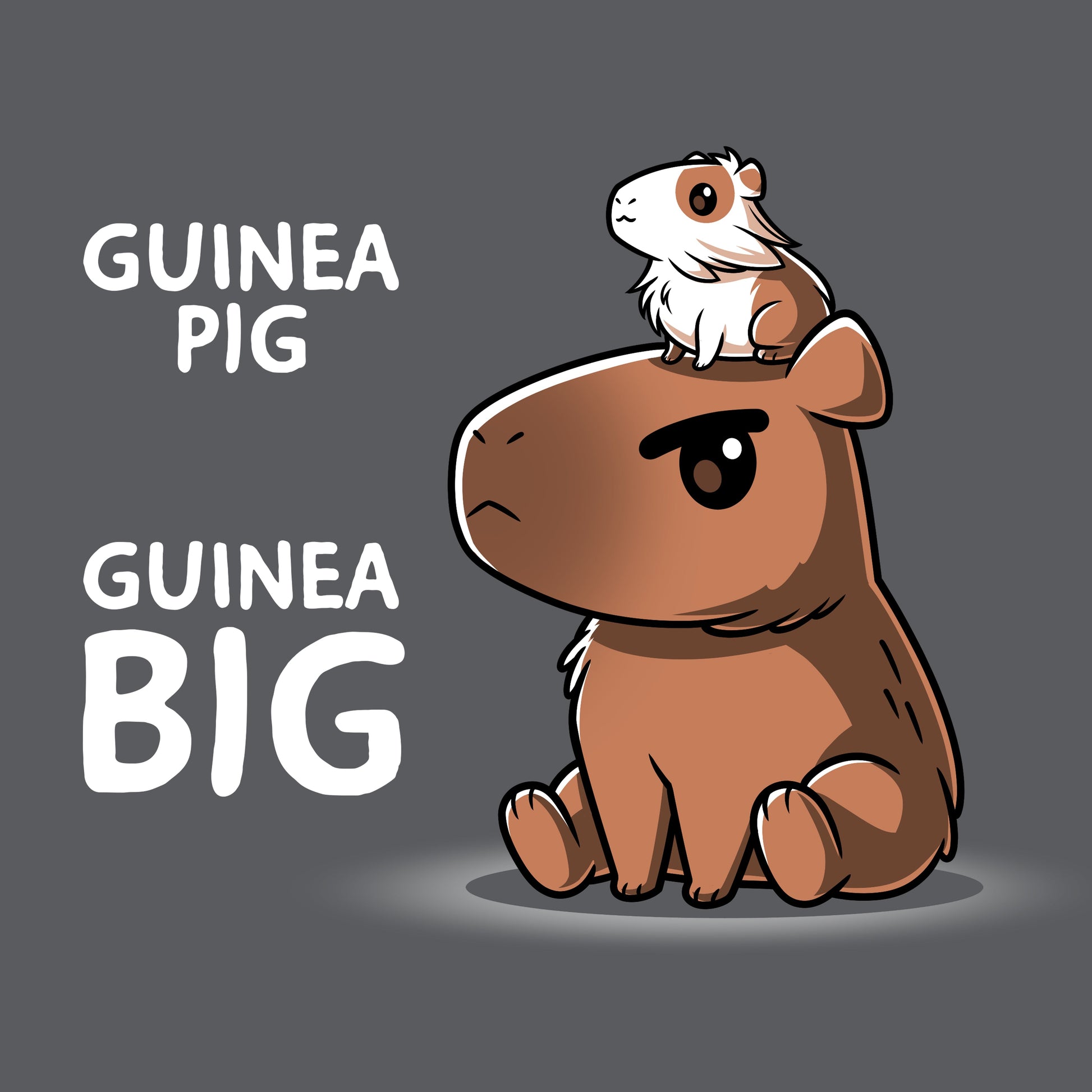 Guinea Pig Guinea Big