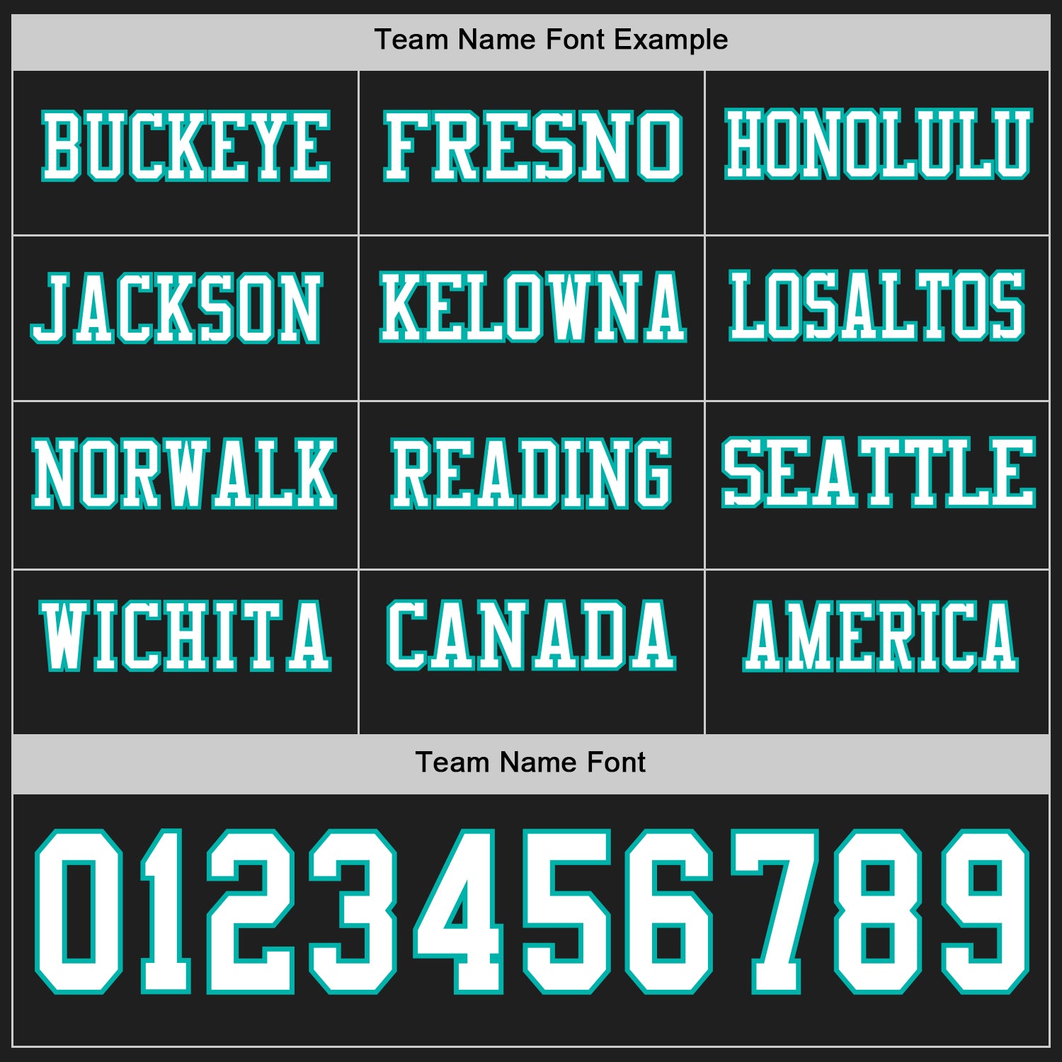 Custom Black White-Aqua Long Sleeve Authentic Football Jersey