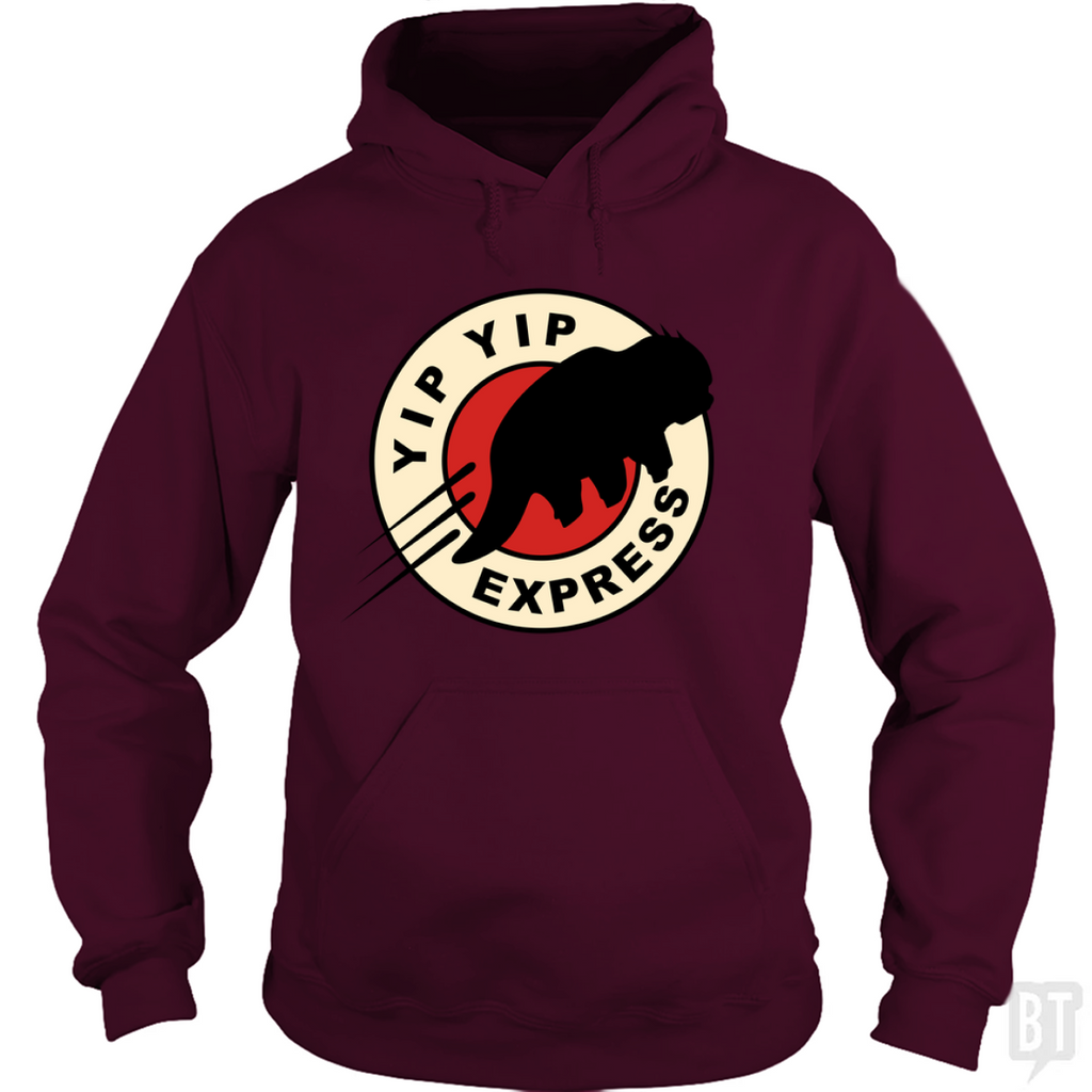 des Yip Express Hoodie