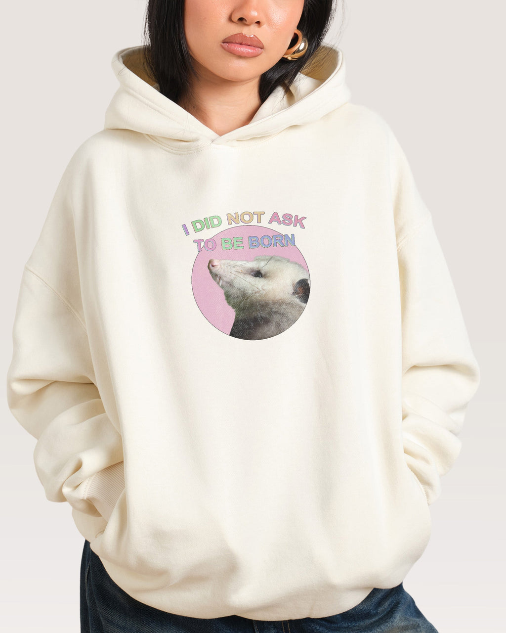 I Did Not Ask Hoodie