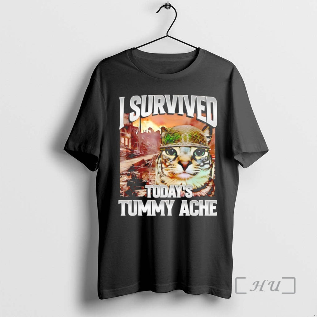 Officials I Survived Todays Tummy Ache Cat Meme