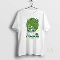 Original Stereolab Nov 21 22 2025 The Regency Ballroom Tour