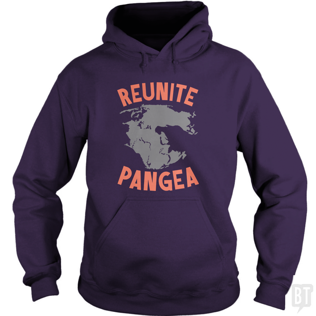 Reunite Pangea Hoodie