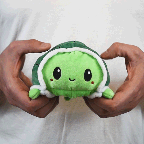 Reversible Turtle Plushie (Green)