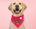 Santa'S Favorite Dog Bandana Dog Neck Scarf Pet Xmas Bandana New Puppy Scarf Dog Accessories T-Shirts