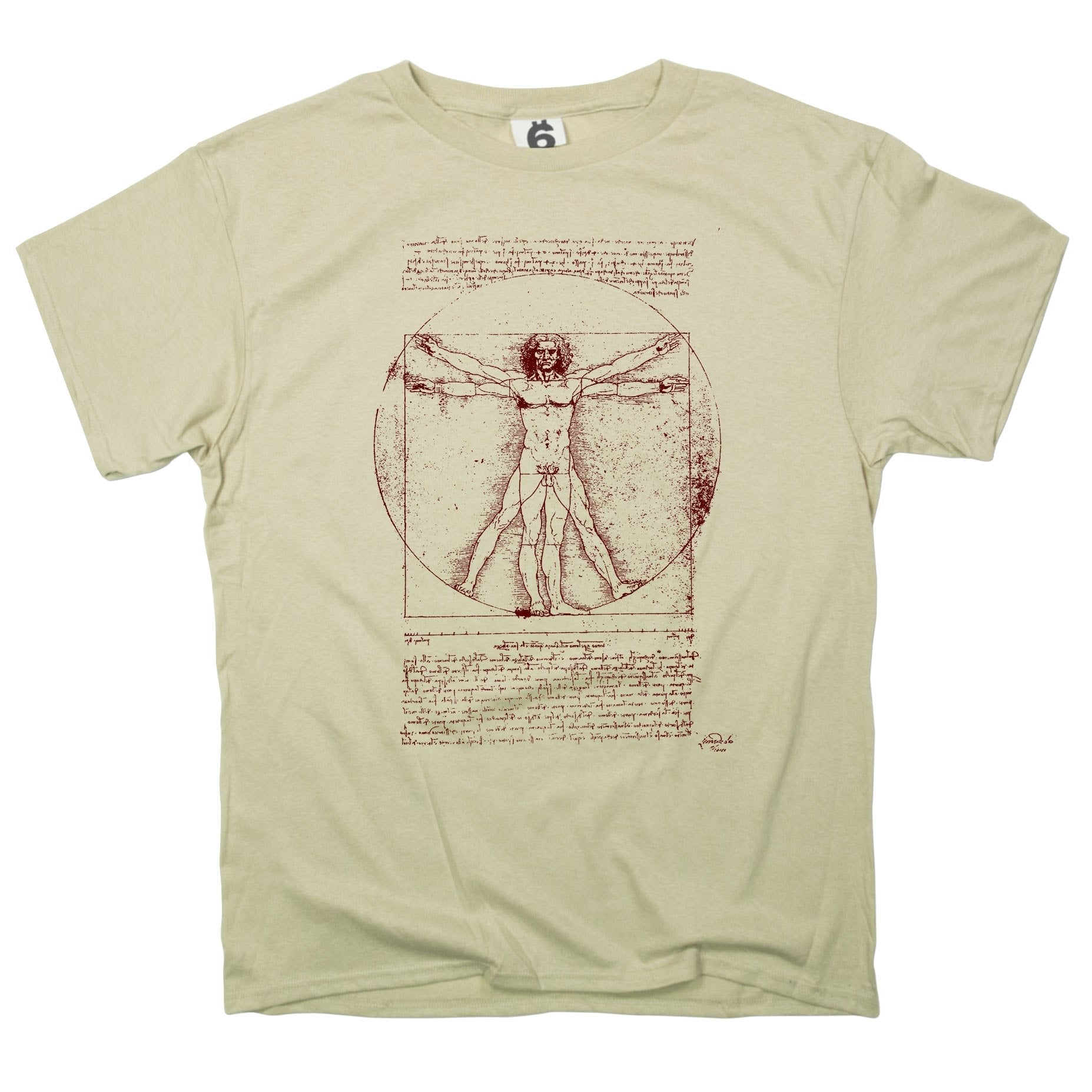 The Vitruvian Man