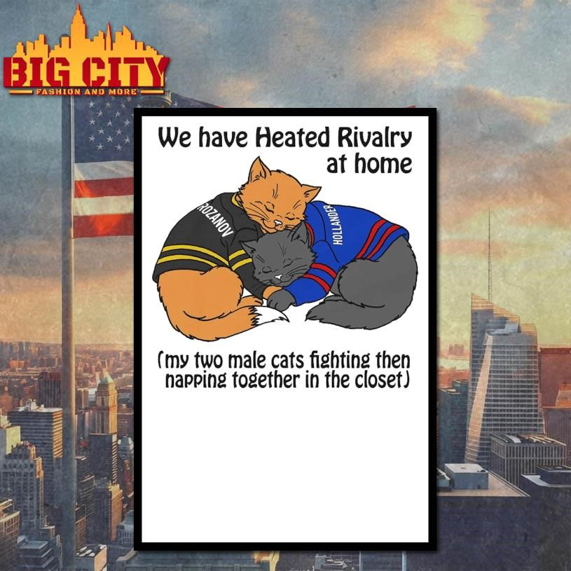 We Have Heated Rivalry At Home (My Two Male Cats Fighting Then Napping Together In The Closet) Shirt