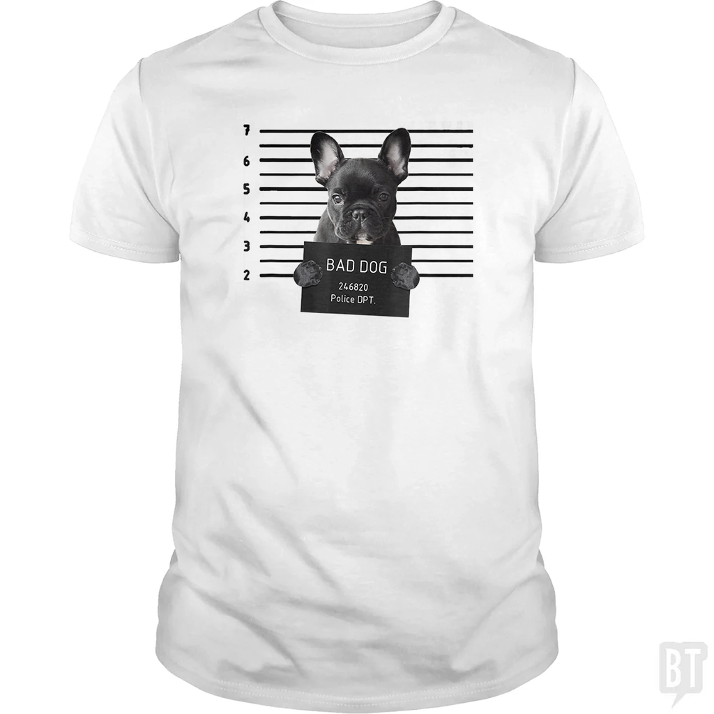 French Bulldog Prison