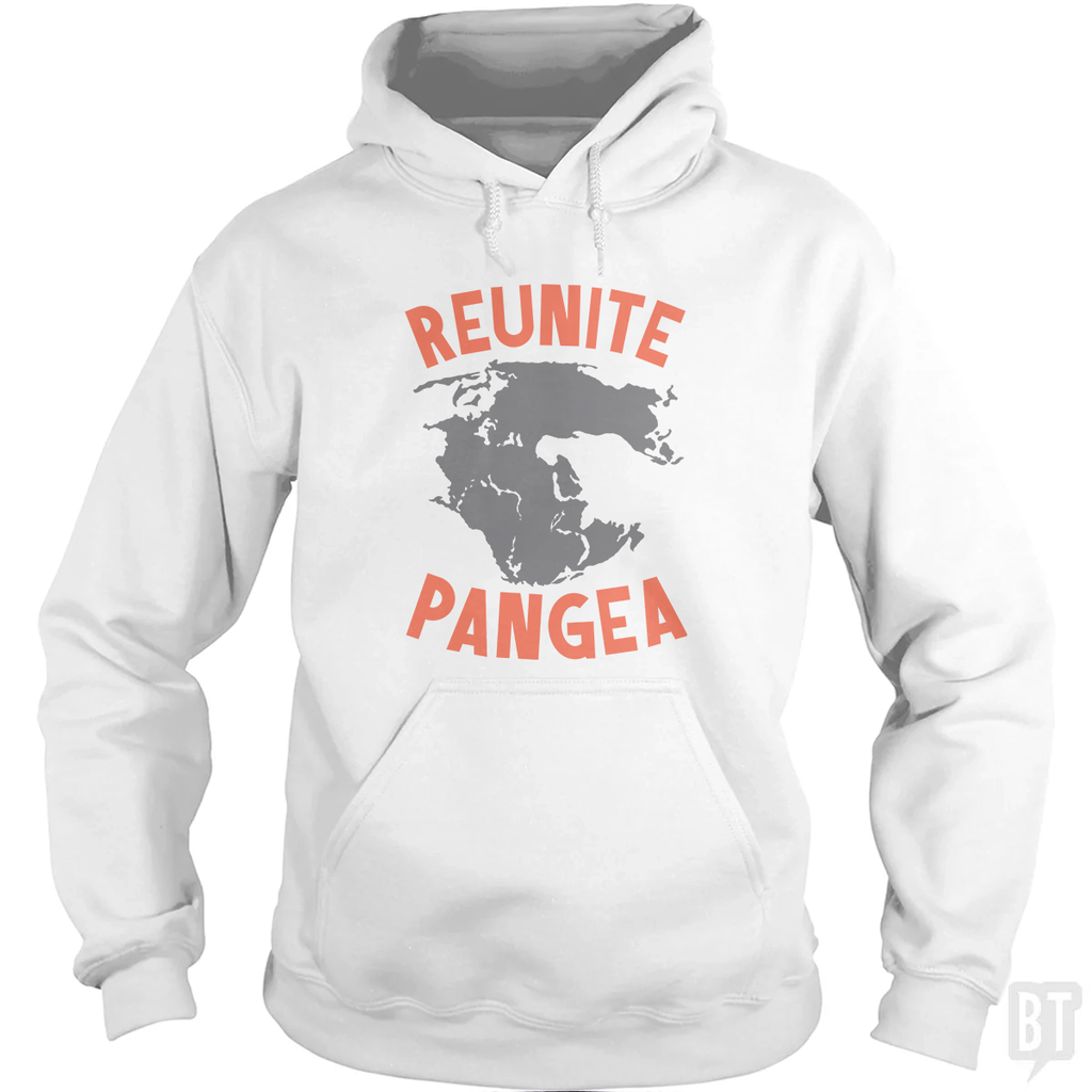 Reunite Pangea Hoodie