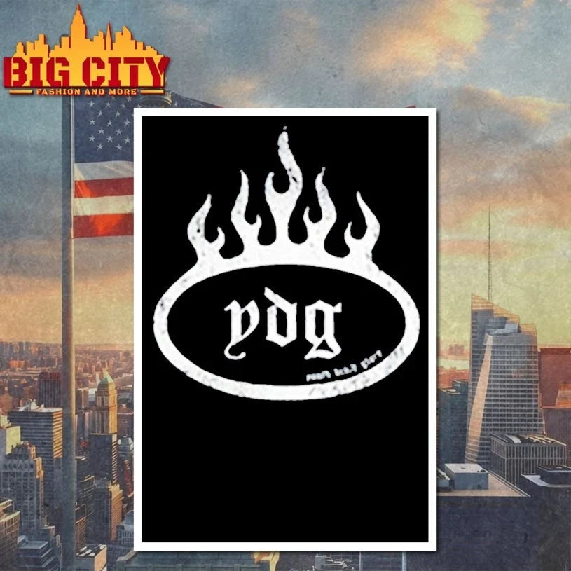 Ydg Flame logo t-shirt