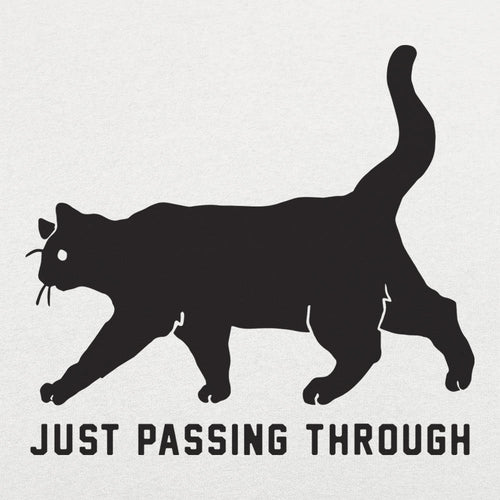 Black Cat Crossing