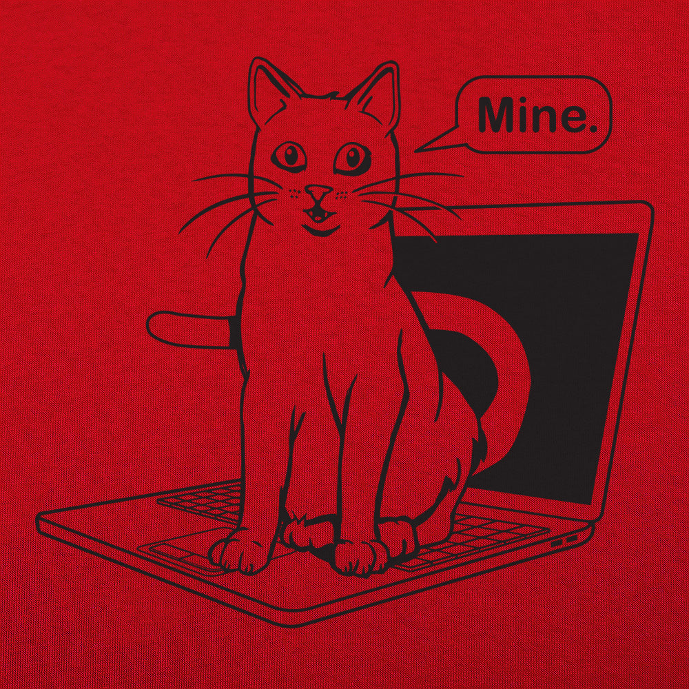 Cat Conquers Laptop