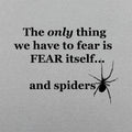 Fear And Spiders