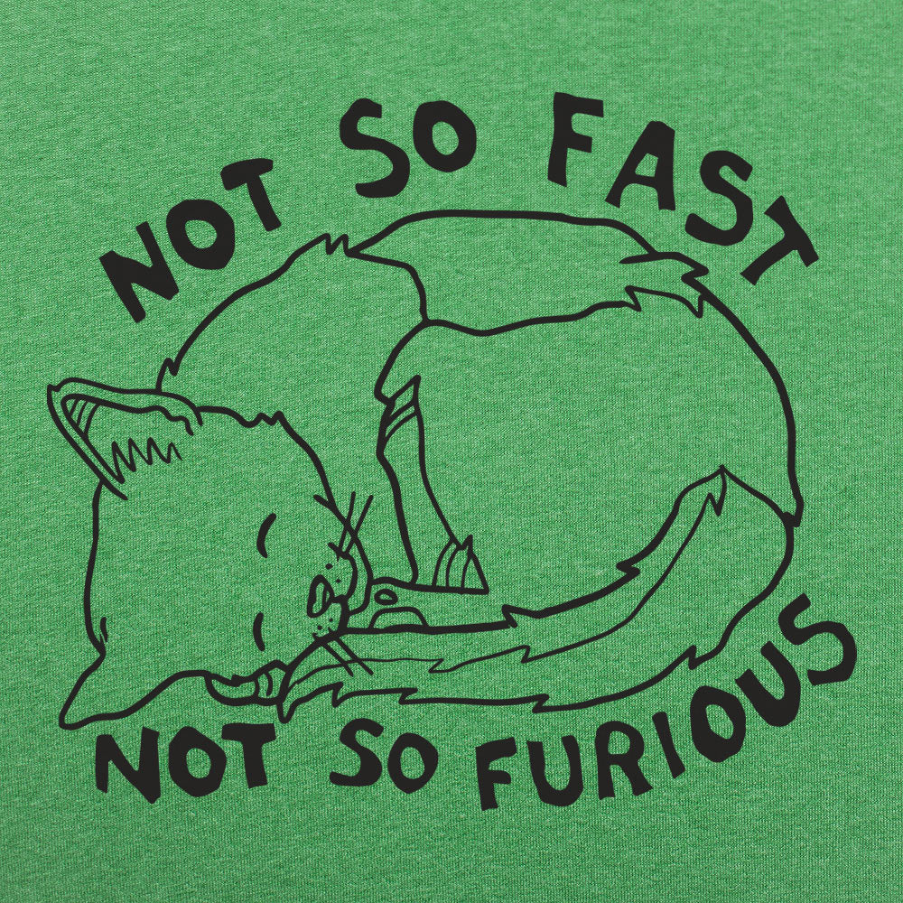 Not So Fast &amp Furious