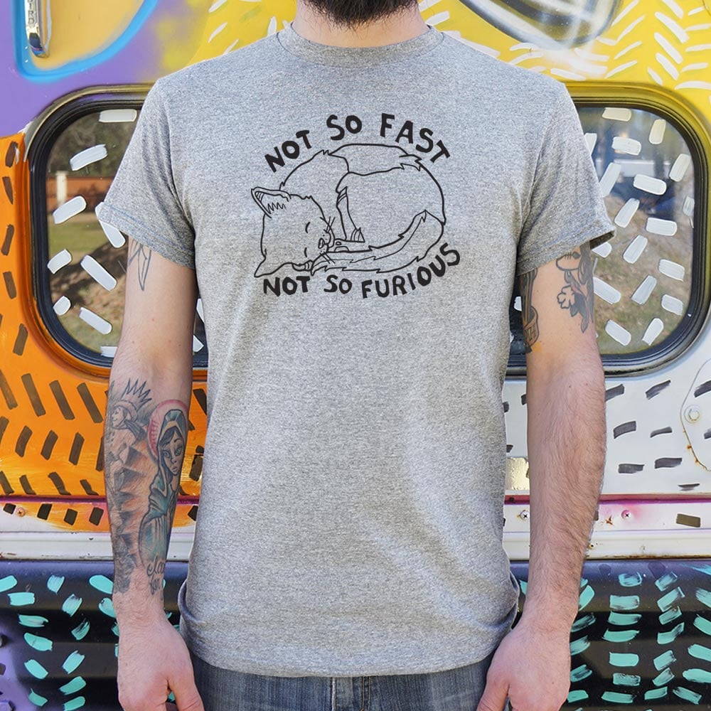 Not So Fast &amp Furious