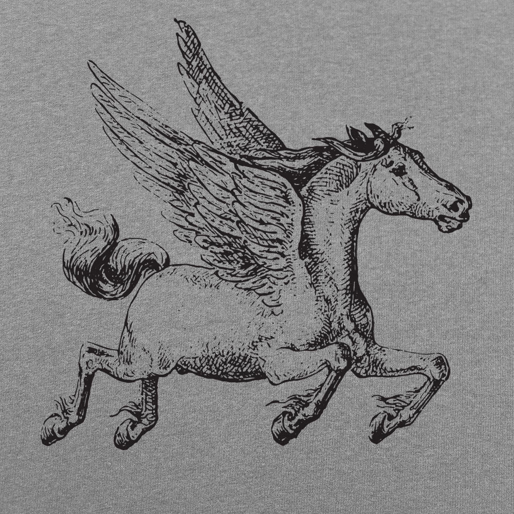 Pegasus