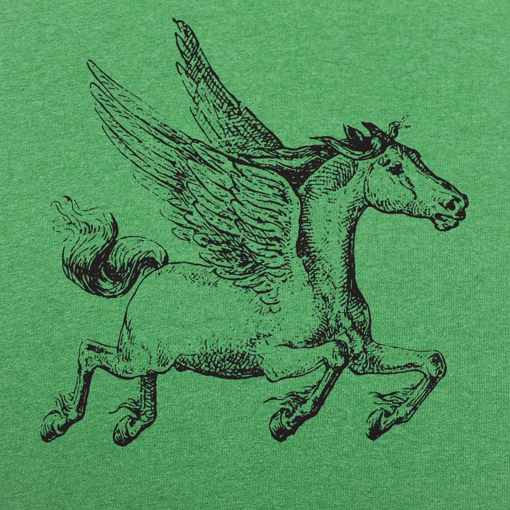 Pegasus