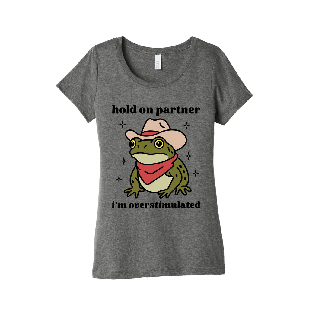 Hold on Partner, Im Overstimulated Womens Triblend Tee