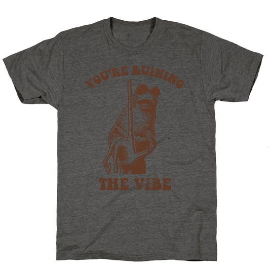 You Are Ruining the Vibe Unisex Triblend Tee