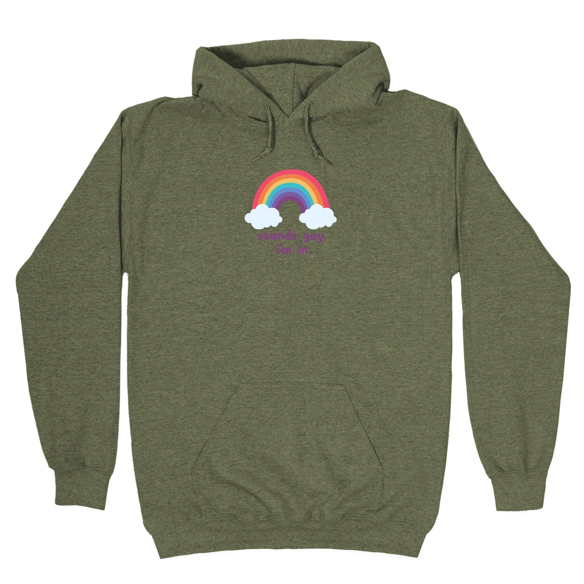 Sounds Gay, Im In Hoodie