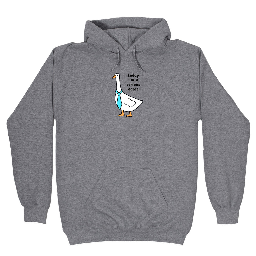 Today Im A Serious Goose Hoodie
