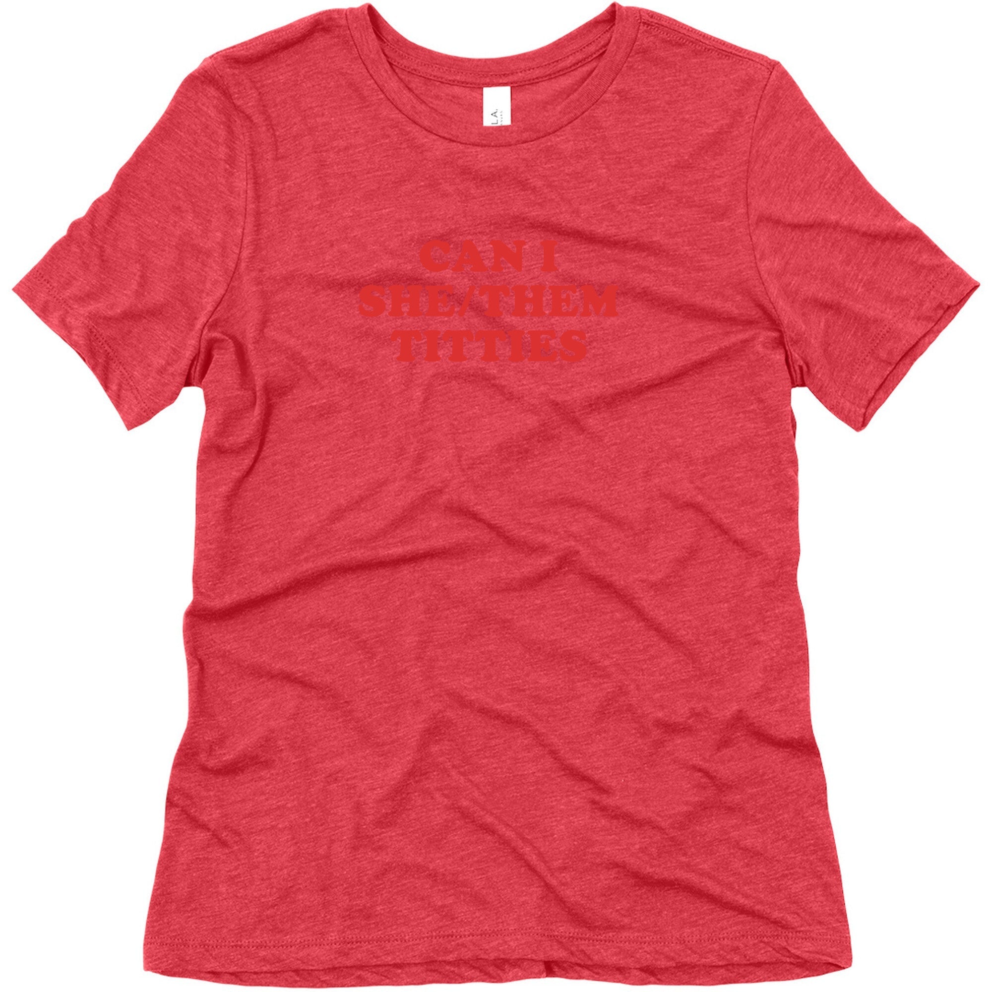 Can I She/Them Titties? Womens Relaxed Fit Triblend Tee