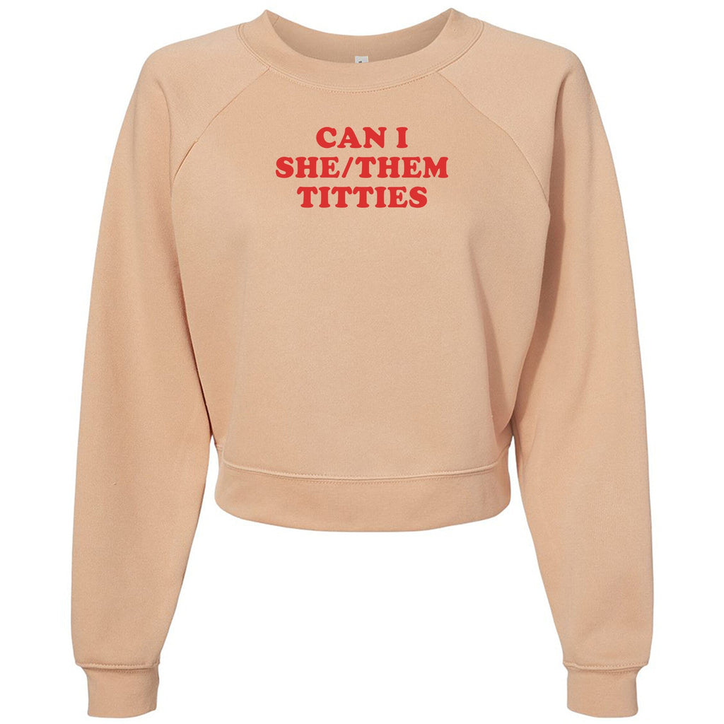 Can I She/Them Titties? Womens Raglan Pullover Fleece