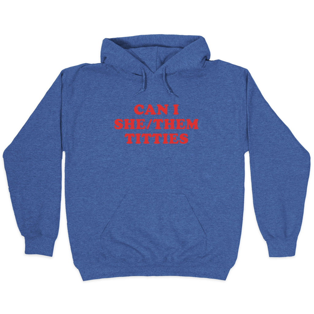 Can I She/Them Titties? Hoodie