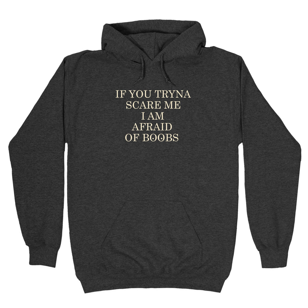 Afraid Of Boobs Hoodie