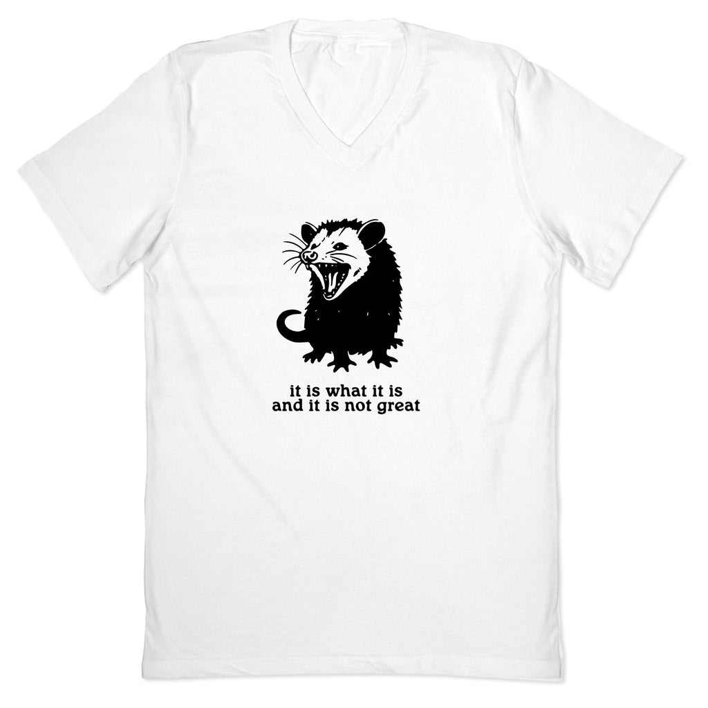 It Is What It Is V-Neck