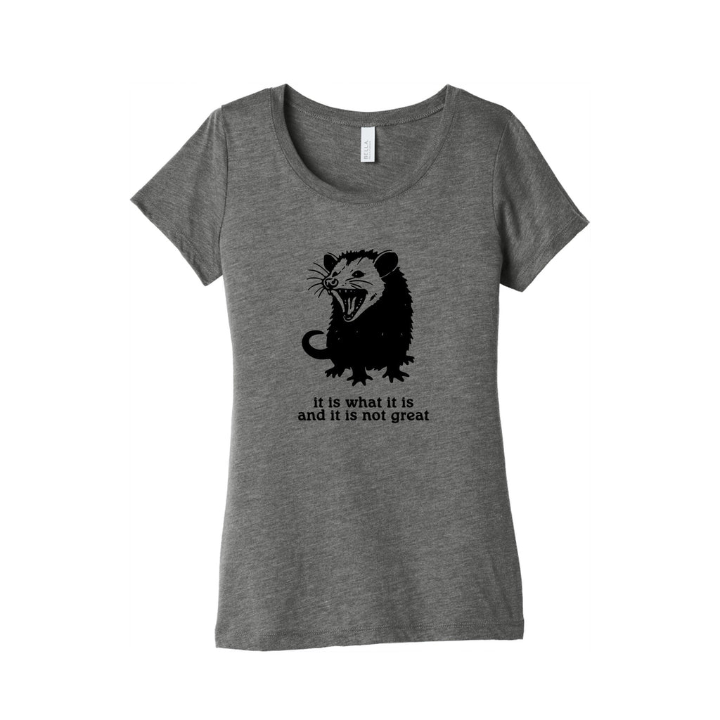 It Is What It Is Womens Triblend Tee