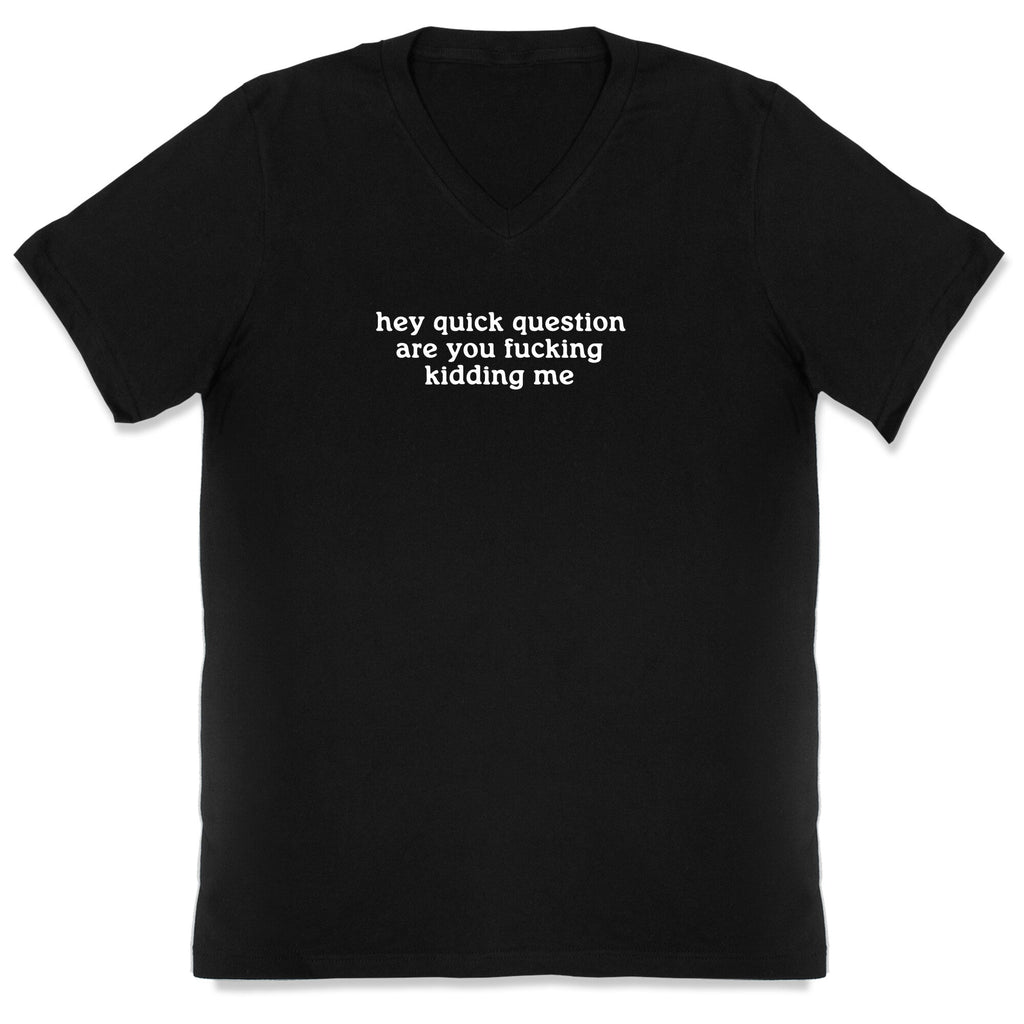 Quick Question V-Neck